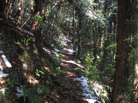 20161125hike (23)